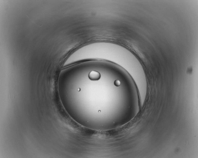 X0000093760211200710231259