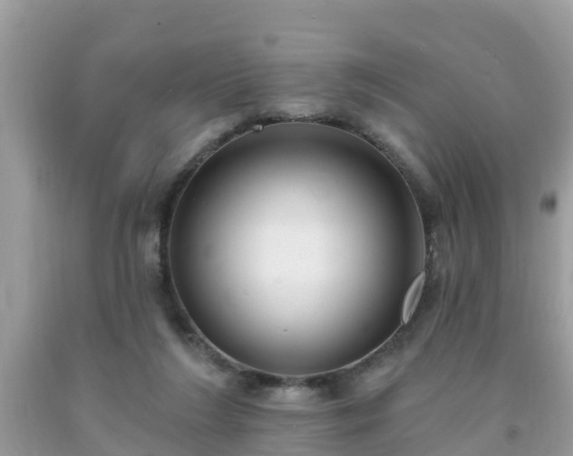 X0000093760212200710231259