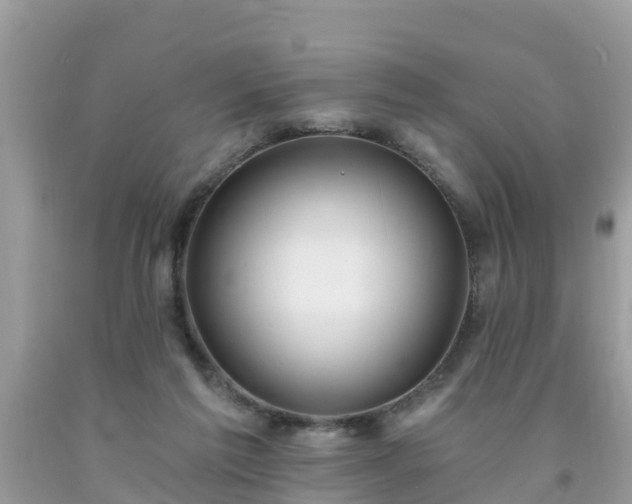 X0000093760213200710231259