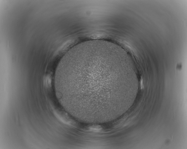 X0000093760214200710231259