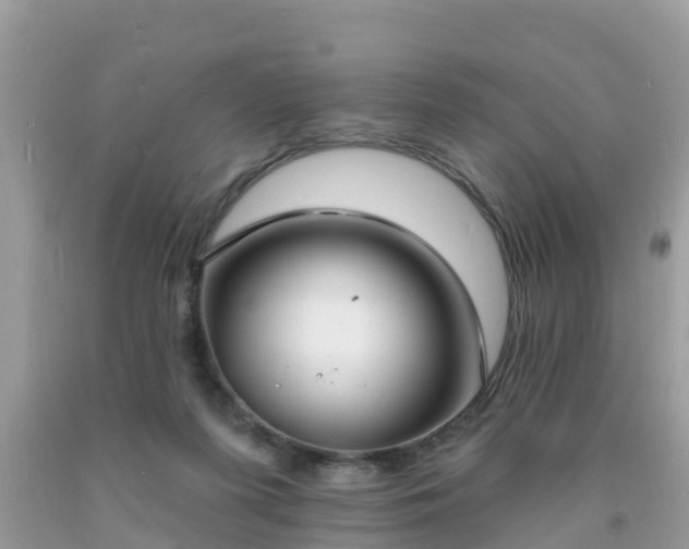 X0000093760215200710231259