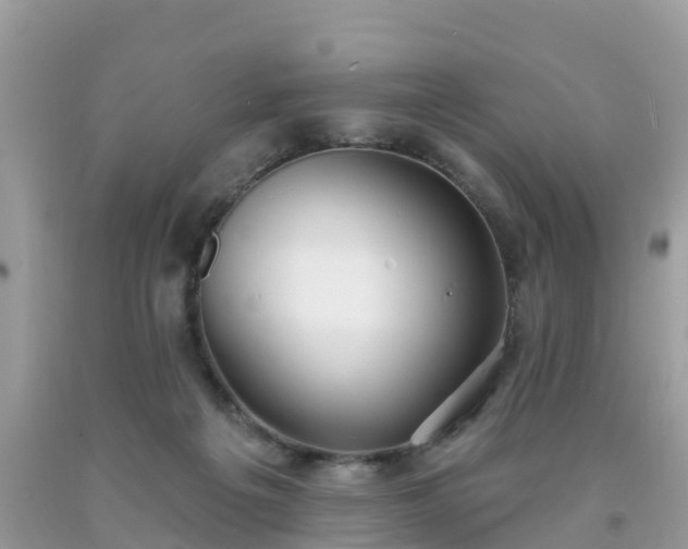 X0000093760217200710231259