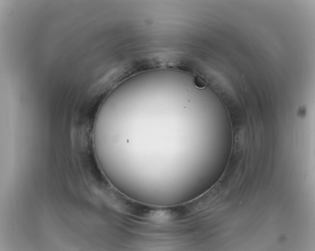 X0000093760218200710231259