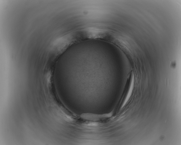 X0000093760219200710231259