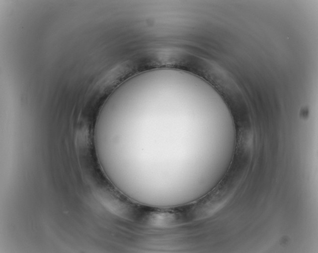 X0000093760220200710231259