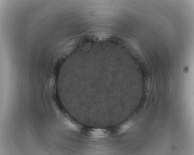 X0000093760222200710231259