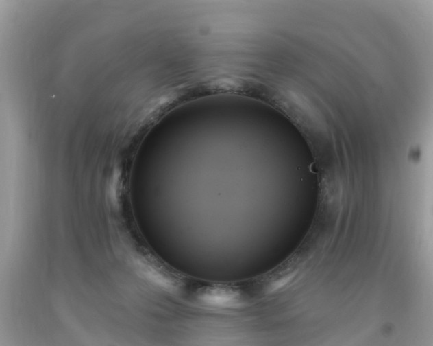 X0000093760223200710231259