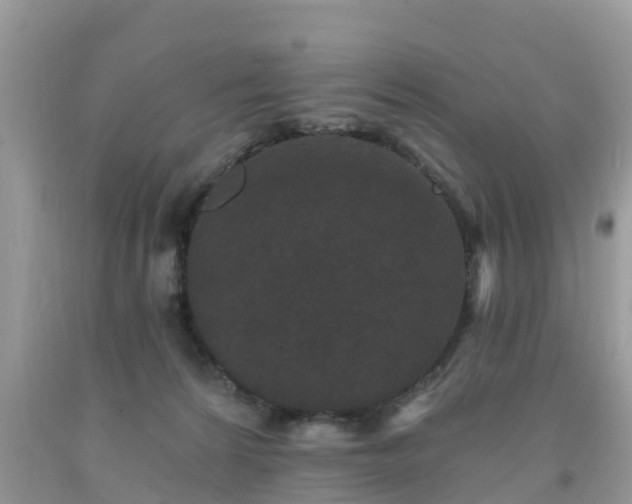 X0000093760224200710231259