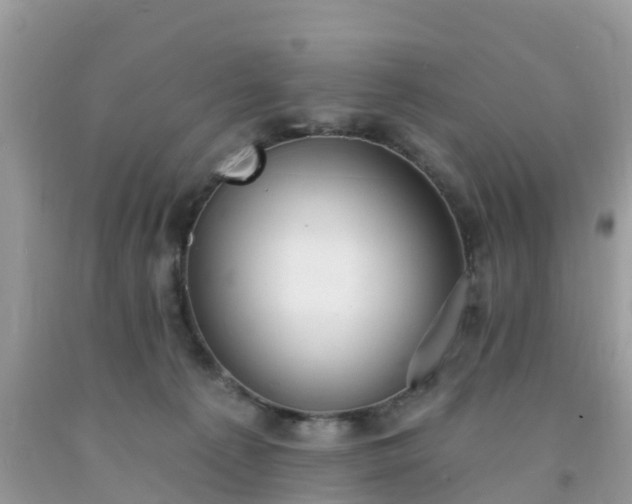 X0000093760225200710231259