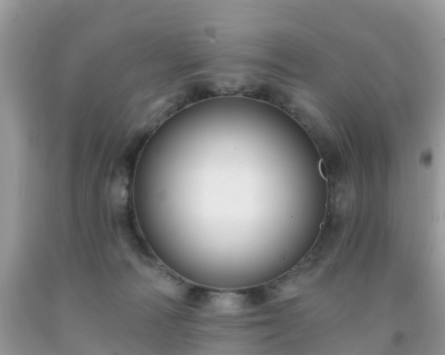 X0000093760226200710231259