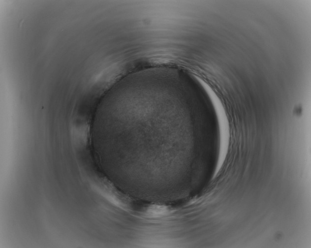 X0000093760227200710231259