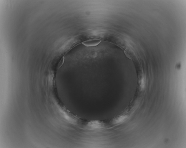 X0000093760231200710231259