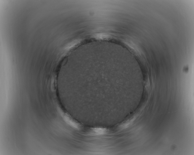 X0000093760233200710231259