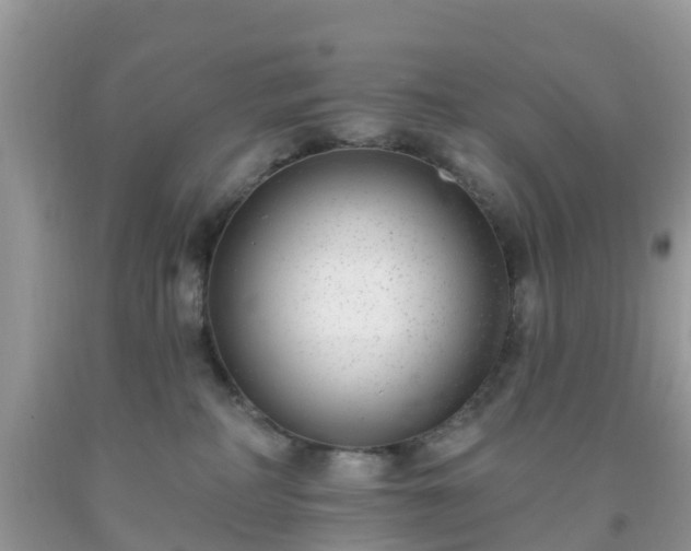 X0000093760234200710231259