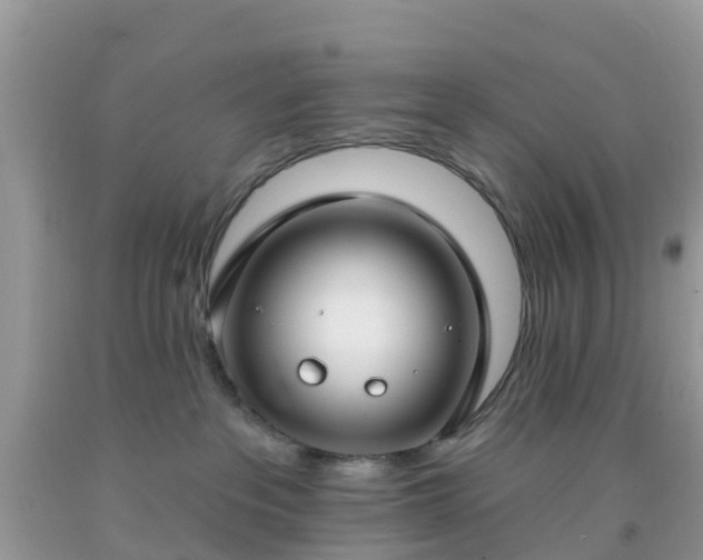 X0000093760237200710231259