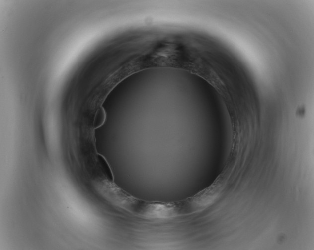 X0000093760239200710231259