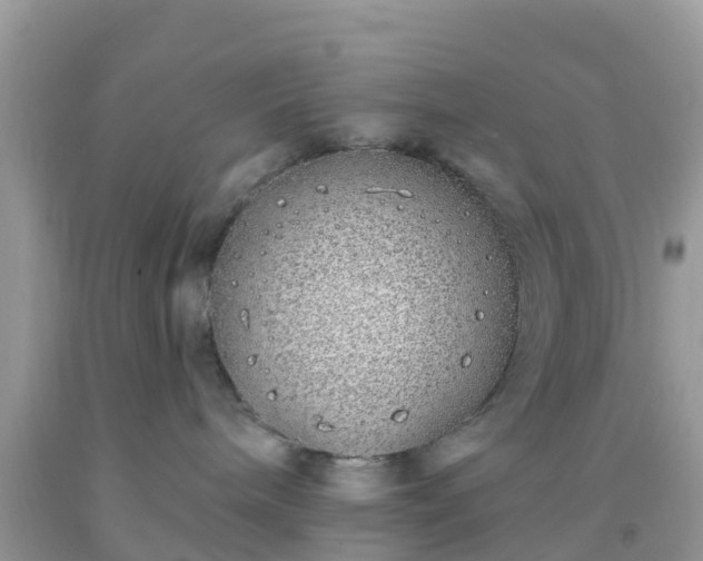 X0000093760240200710231259