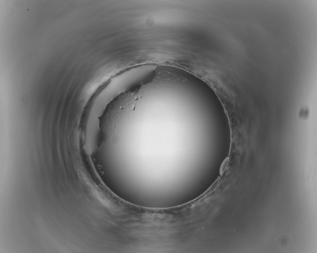 X0000093760242200710231258