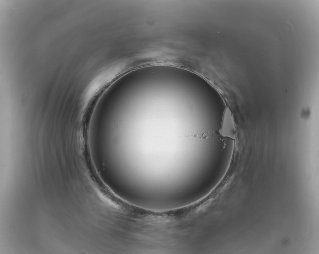 X0000093760245200710231258