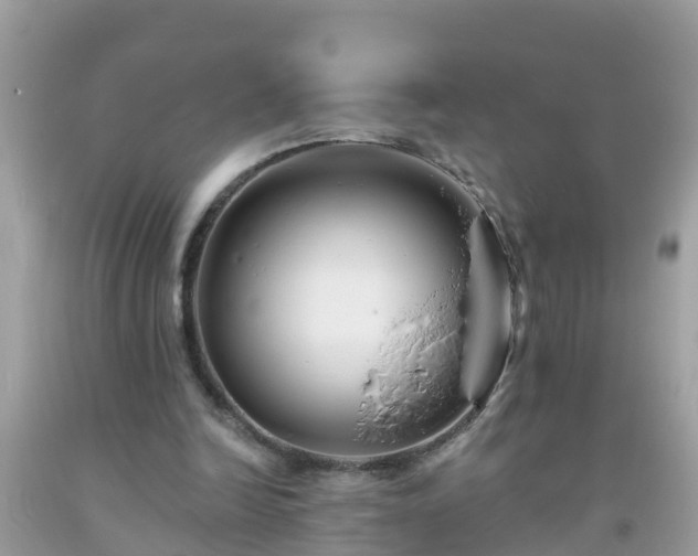 X0000093760246200710231258