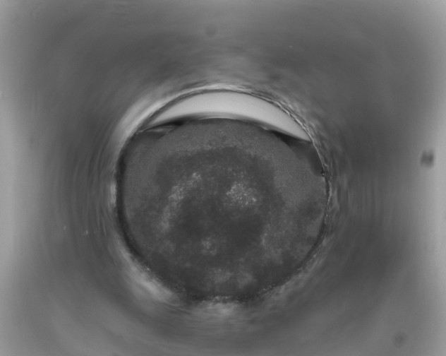 X0000093760247200710231258