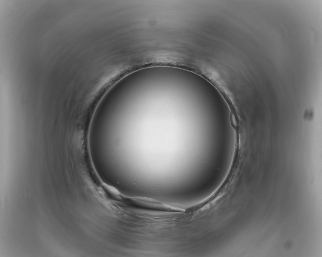 X0000093760249200710231258