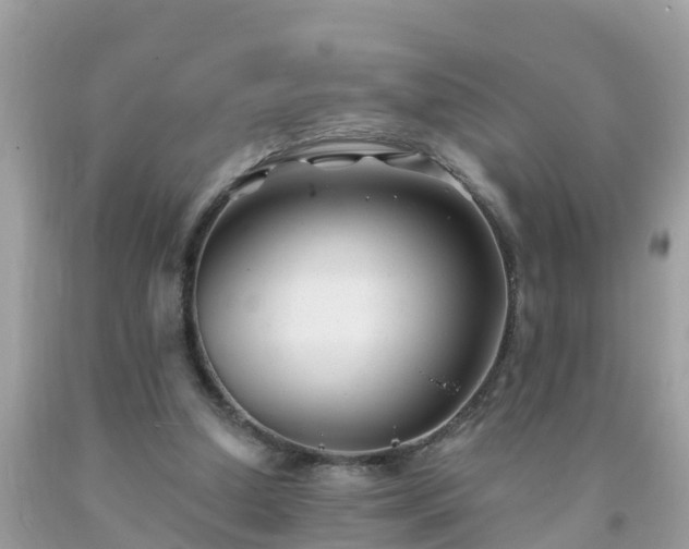 X0000093760250200710231258