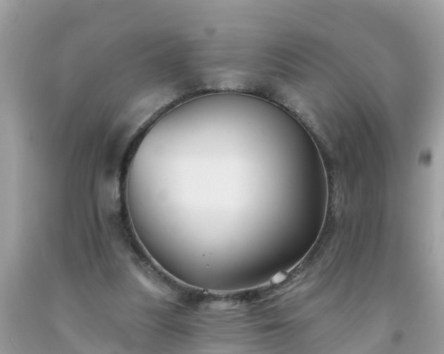 X0000093760251200710231258