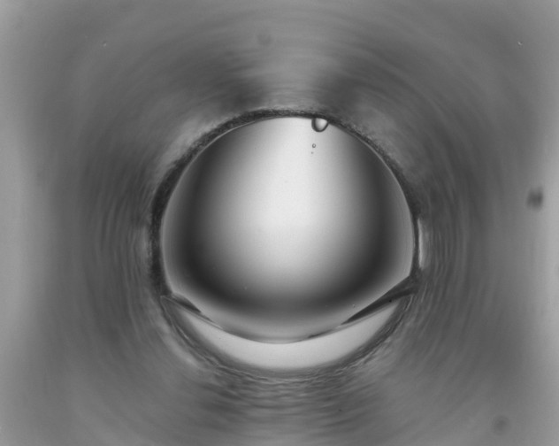 X0000093760252200710231258