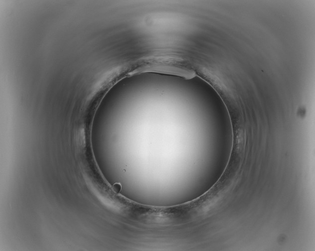 X0000093760254200710231258