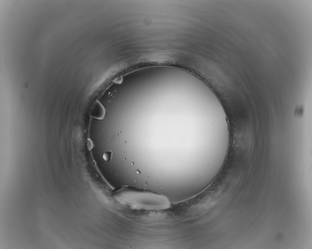 X0000093760256200710231258