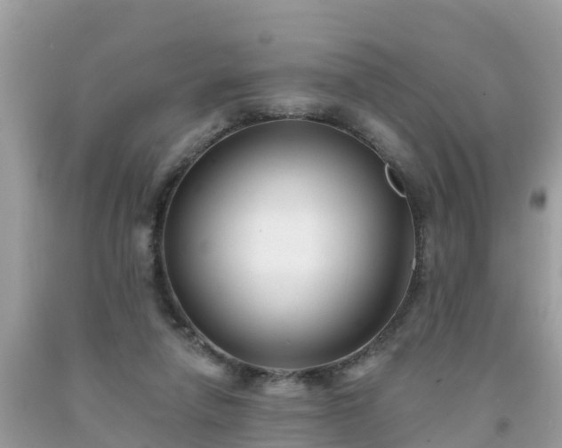 X0000093760258200710231258