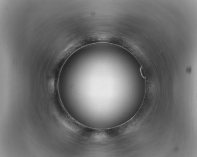 X0000093760262200710231258