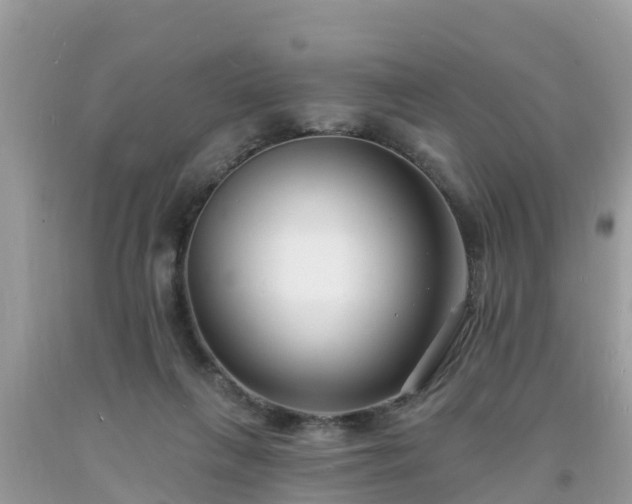 X0000093760263200710231258