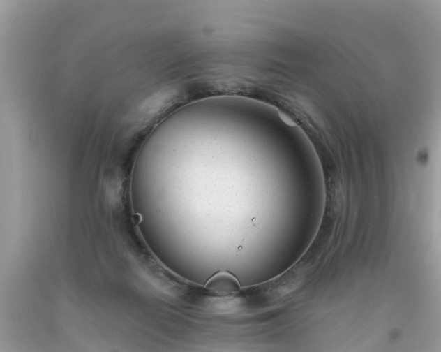 X0000093760266200710231258