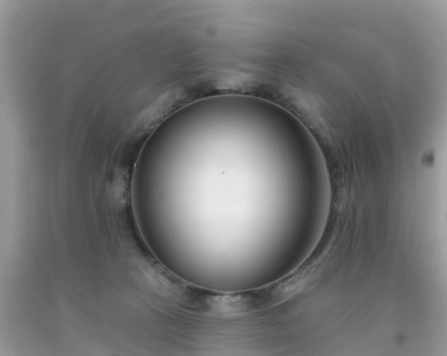 X0000093760273200710231258