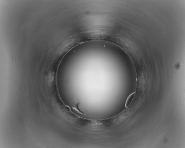 X0000093760278200710231258