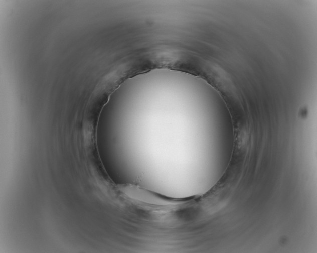 X0000093760283200710231258