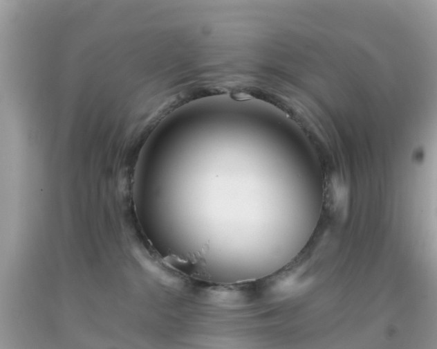 X0000093760284200710231258