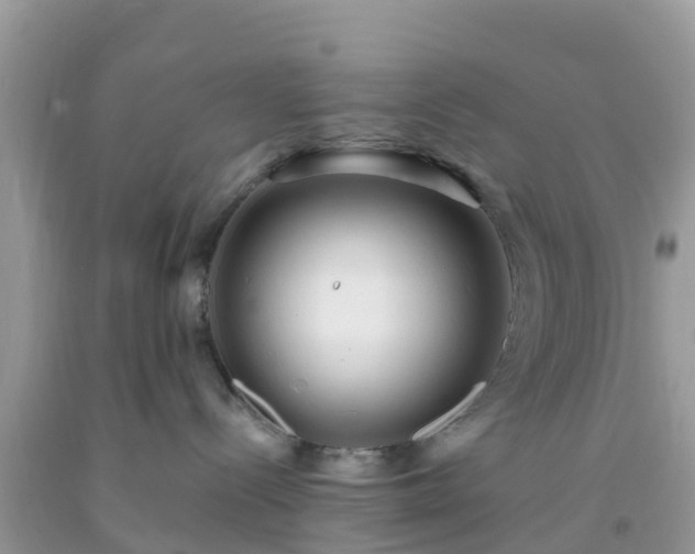 X0000093760288200710231259