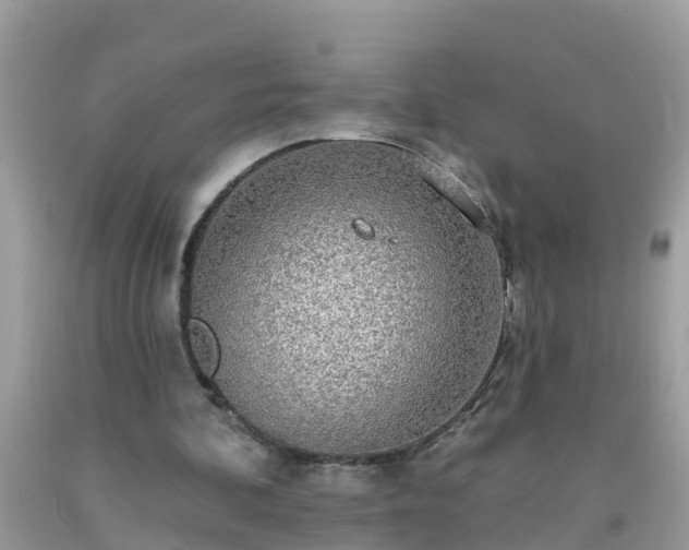 X0000093760292200710231258