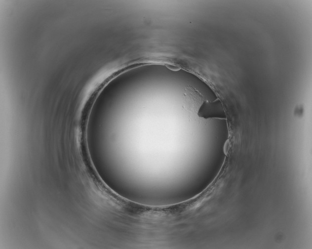 X0000093760294200710231258