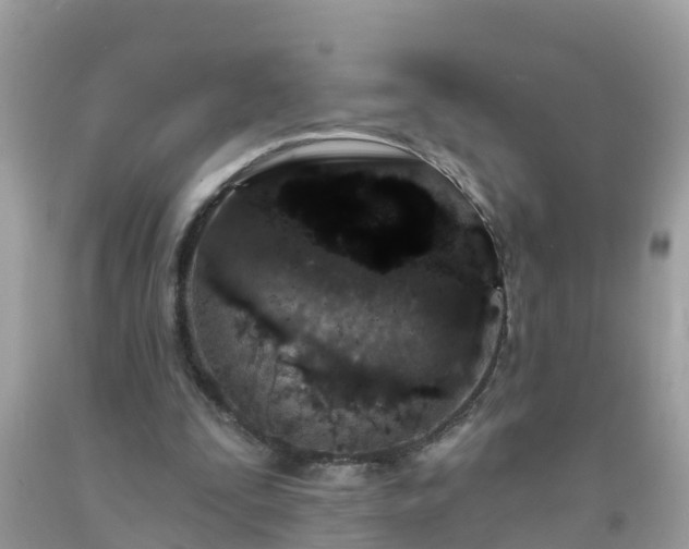 X0000093760295200710231258