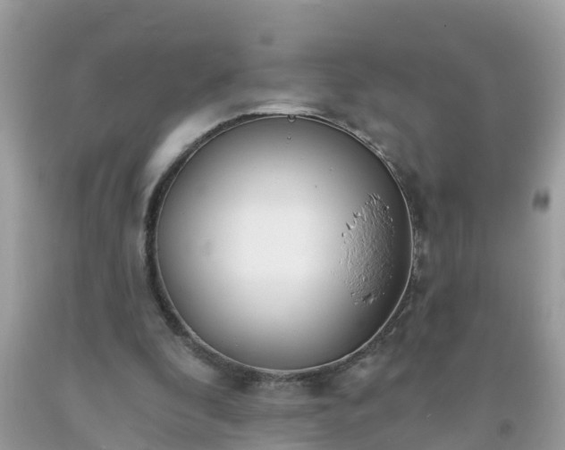 X0000093760296200710231258