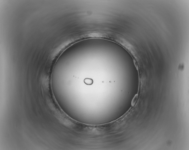 X0000093760297200710231258