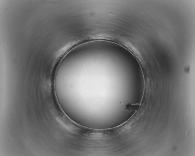 X0000093760298200710231258