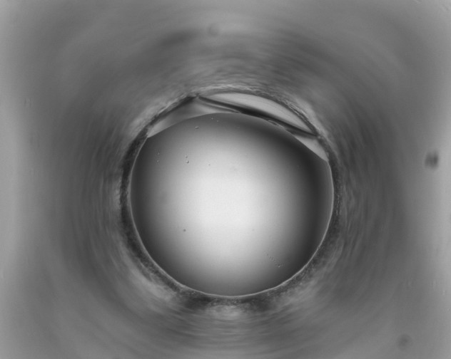 X0000093760299200710231258