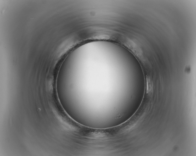 X0000093760300200710231258