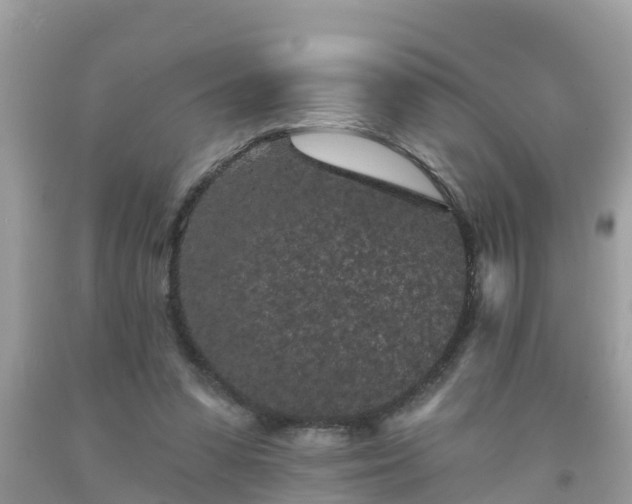 X0000093760303200710231258