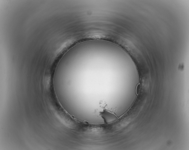 X0000093760304200710231258